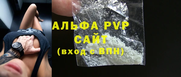 прущие крисы Гатчина