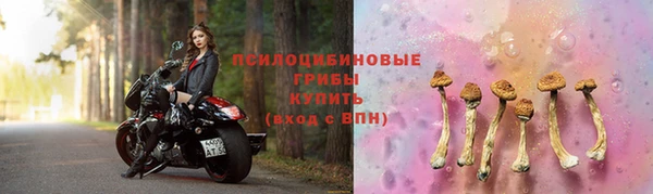 шишки Саяногорск