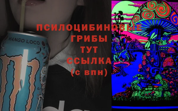 МДПВ Галич