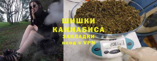 шишки Саяногорск