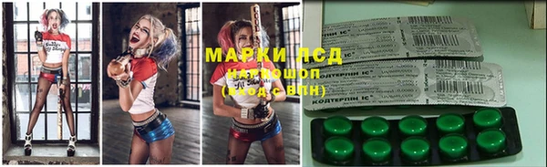 шишки Саяногорск