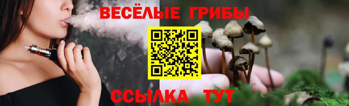 Галлюциногенные грибы прущие грибы  Псилоцибиновые грибы Cubensis  Белая Калитва  Вход с VPN 
